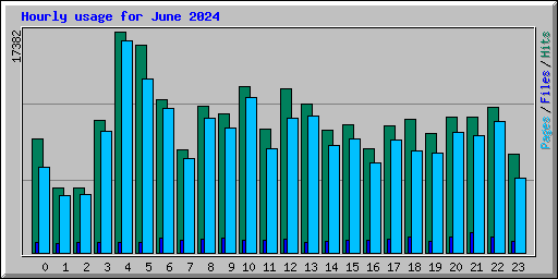 Hourly usage for June 2024