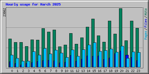 Hourly usage for March 2025