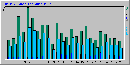Hourly usage for June 2025