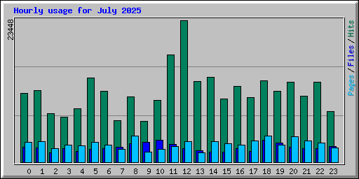 Hourly usage for July 2025