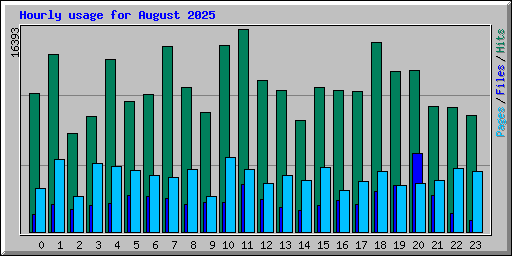 Hourly usage for August 2025