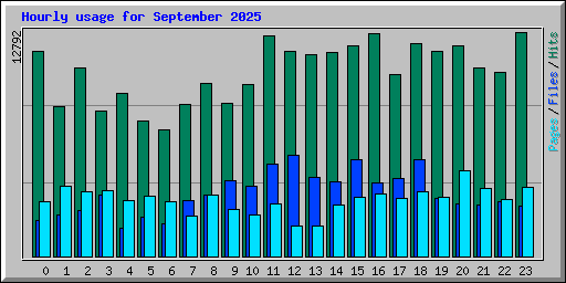Hourly usage for September 2025