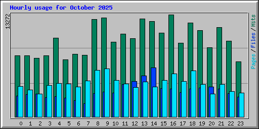 Hourly usage for October 2025