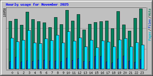 Hourly usage for November 2025