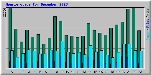 Hourly usage for December 2025