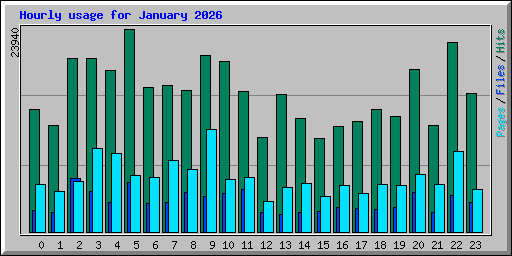 Hourly usage for January 2026