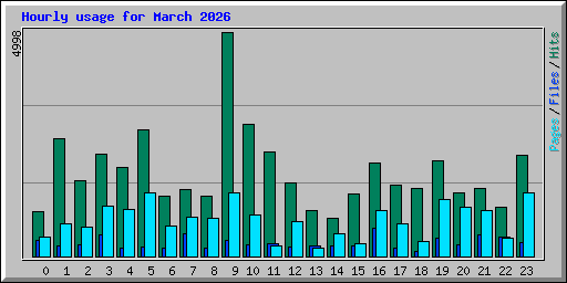 Hourly usage for March 2026
